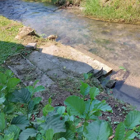 Candolini * Mullnern