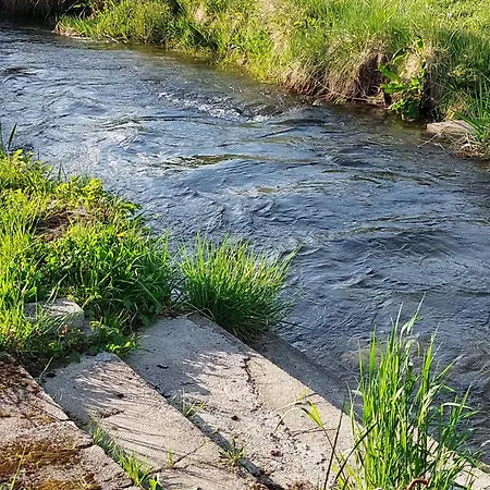 Candolini * Mullnern