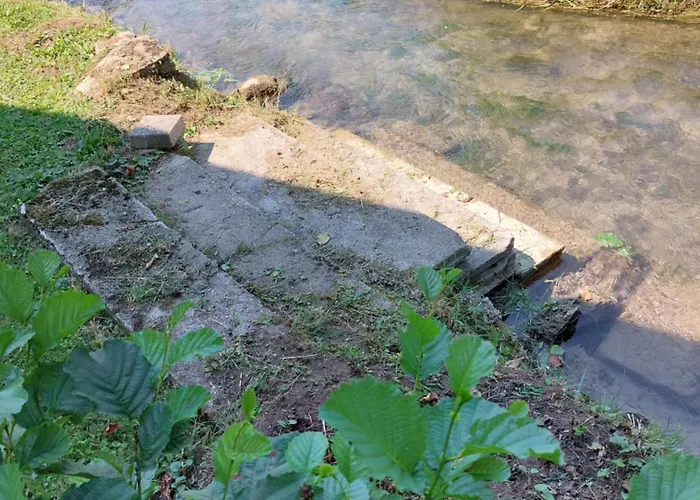 Candolini * Mullnern