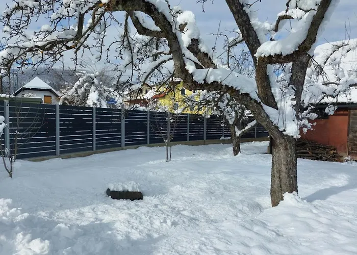 Apartament Candolini Mullnern