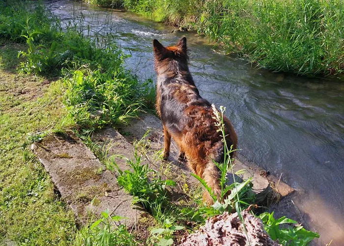 Candolini Apartament Mullnern