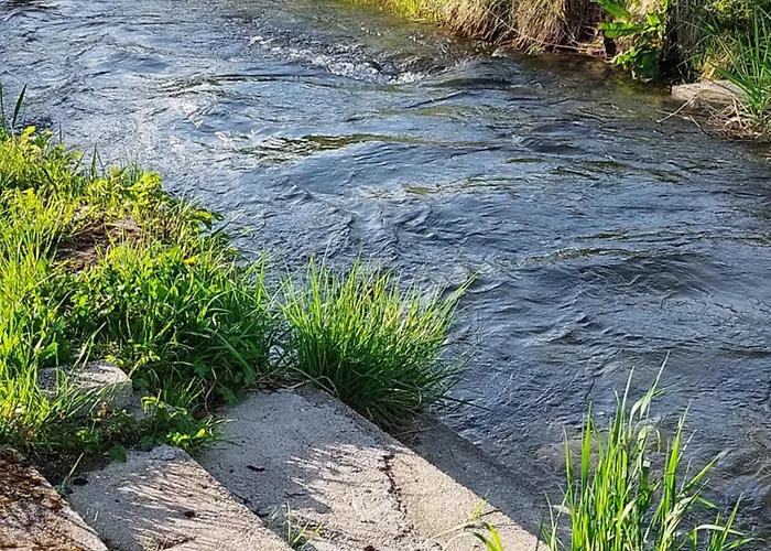 Candolini * Mullnern